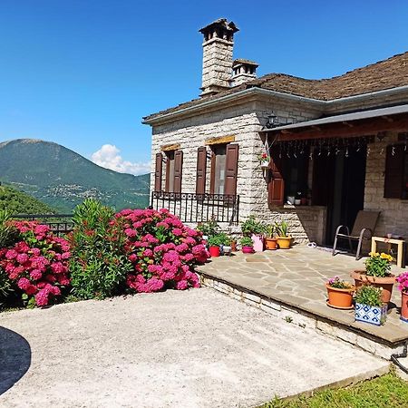 Foris House Hotel Vikos Luaran gambar