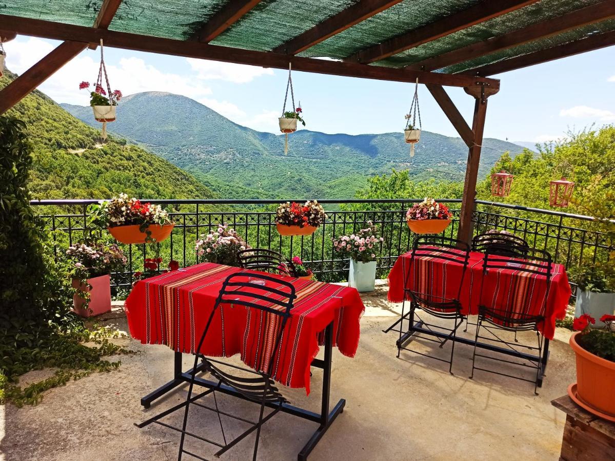Foris House Hotel Vikos Luaran gambar