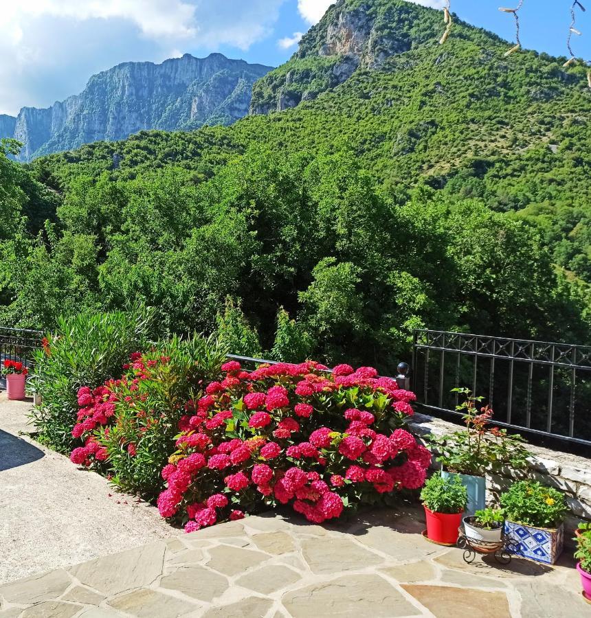Foris House Hotel Vikos Luaran gambar
